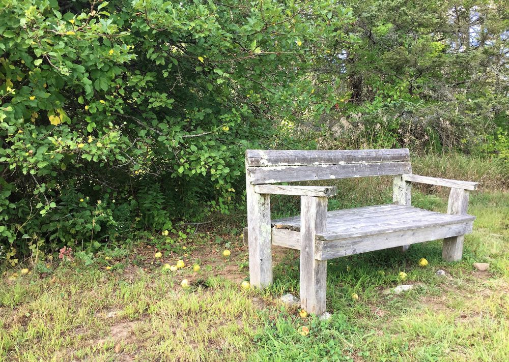 A wooden bench along Merryspring Nature Center