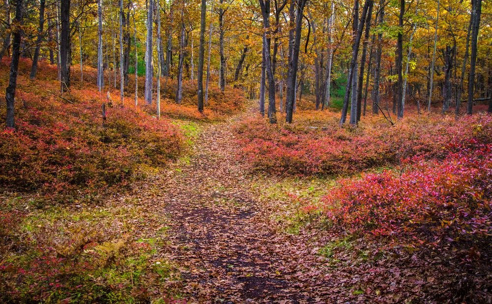Scenic view at Huron County Nature Center