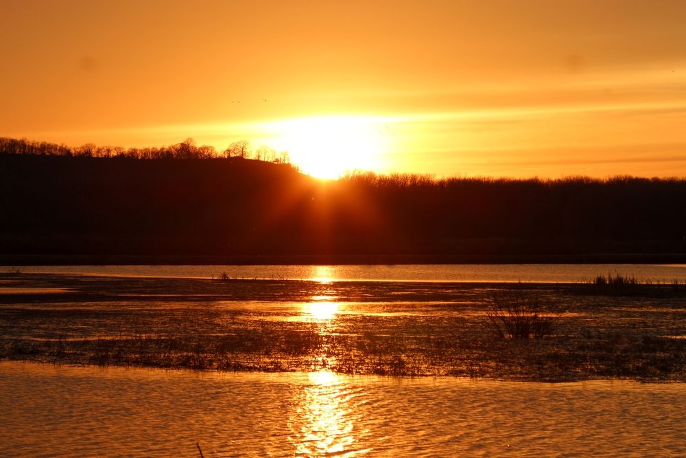 Sunset at Eagle Bluffs Conservation Area