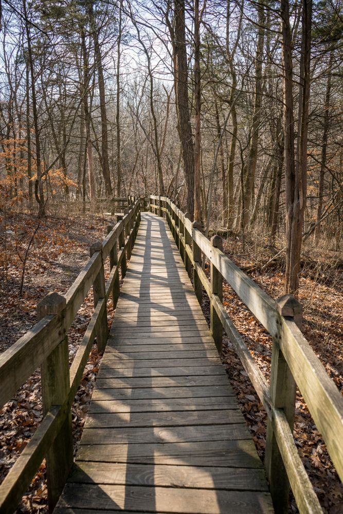 Boardwalk at Rock Bridge Memorial State Park