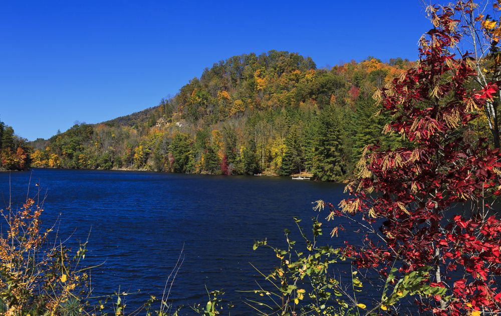 Scenic view of Bear Lake Reserve