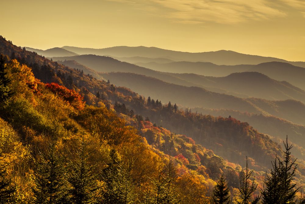 Fall trees surrounding Great Smoky Mountains National Park