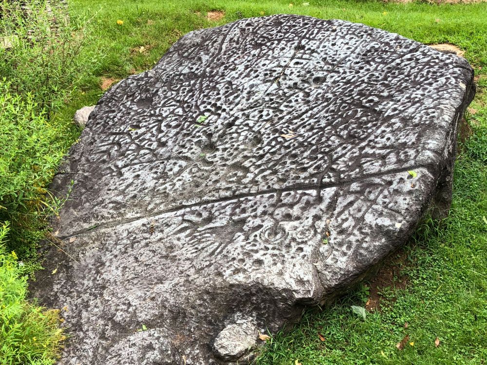 Daytime view of the Judaculla Rock