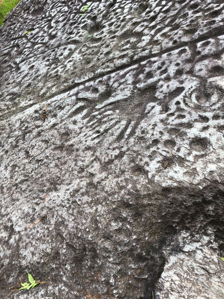 Closeup details of the Judaculla Rock
