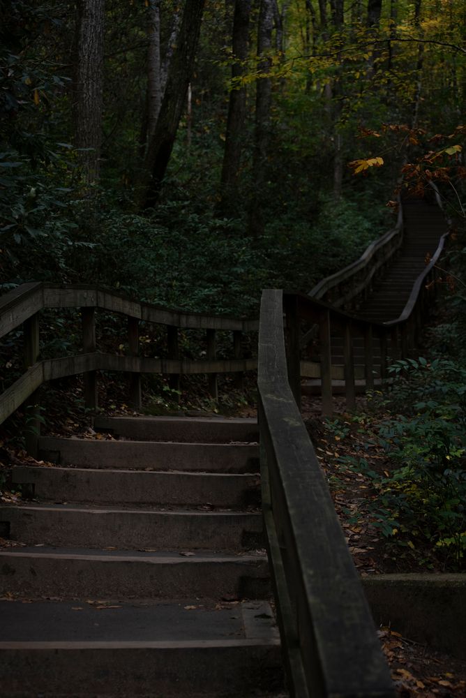 Wooden stairs trail leading to Mingo Falls