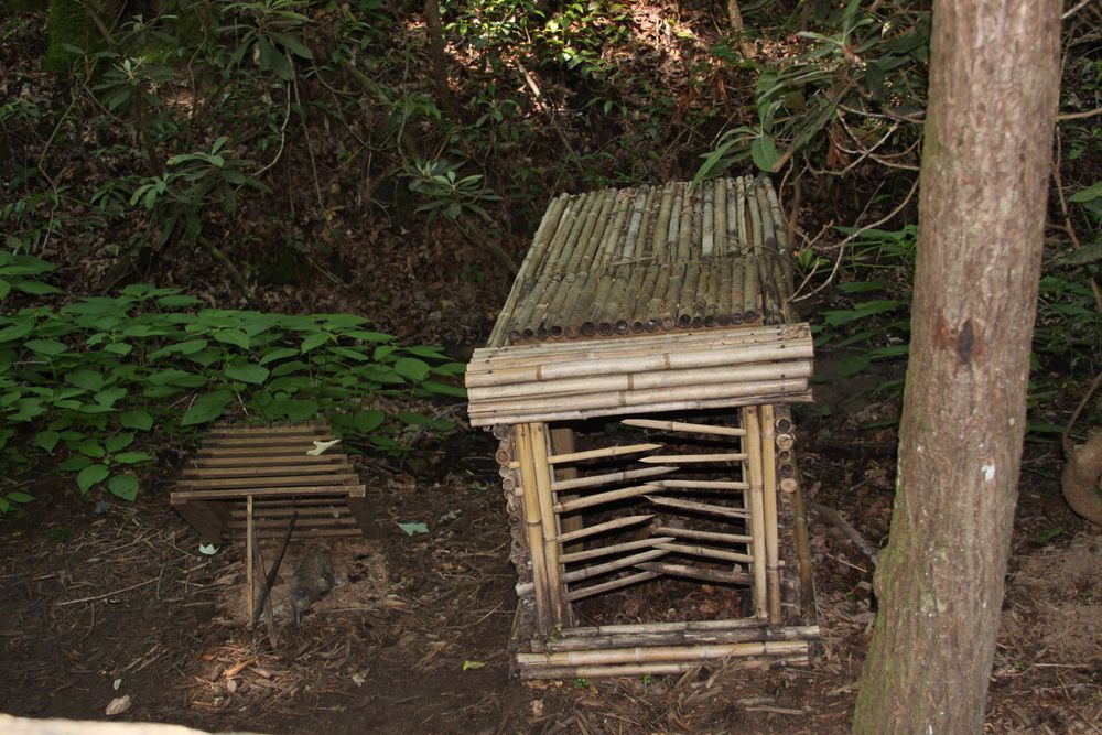 Hunting traps at Oconaluftee Indian Village