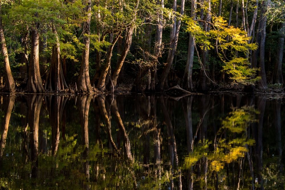The waters of Wise Lake