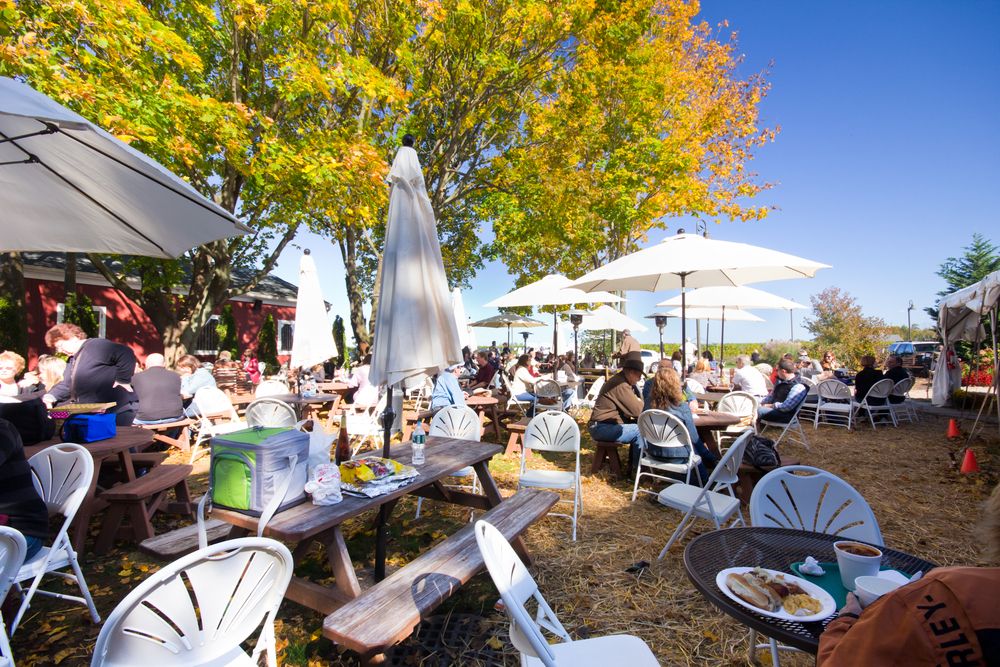 Outdoor chairs and tables of Baiting Hollow Farm Vineyard
