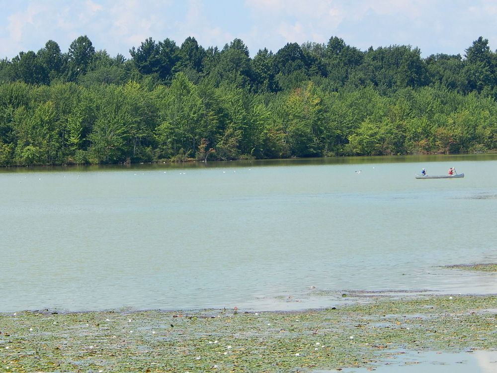 The waters of Beaver Lake Nature Center