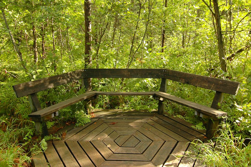 Wooden platform at Beaver Lake Nature Center