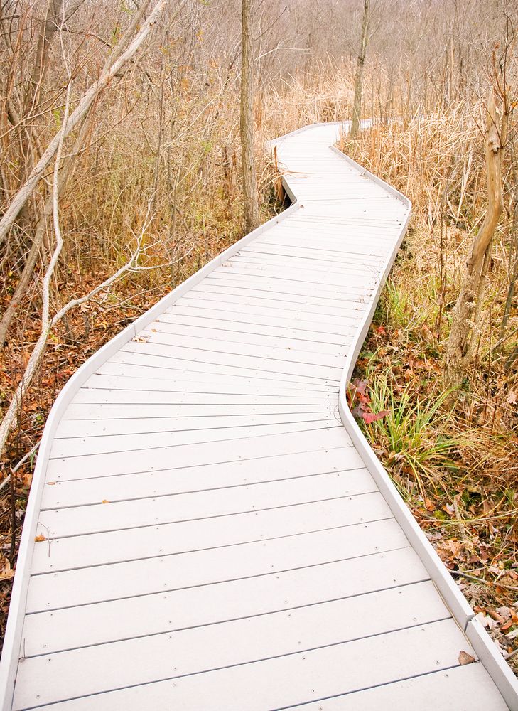 A boardwalk at Jackson Bog State Nature Preserve