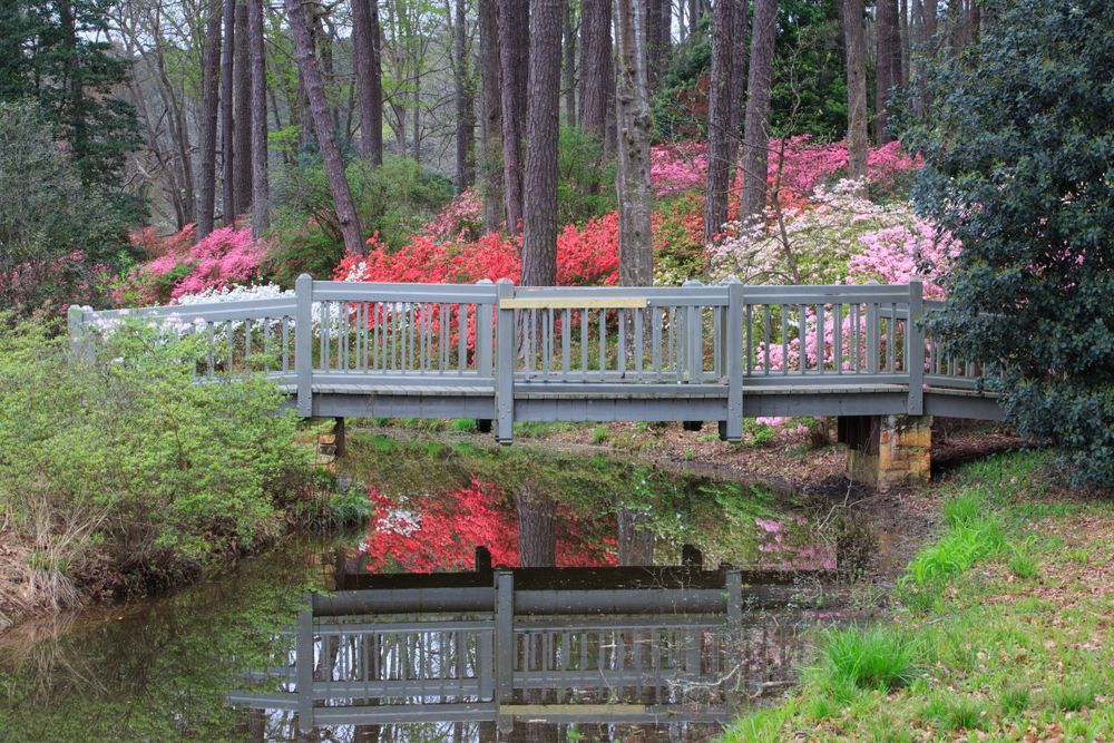 A footbridge at Callaway Resort & Gardens