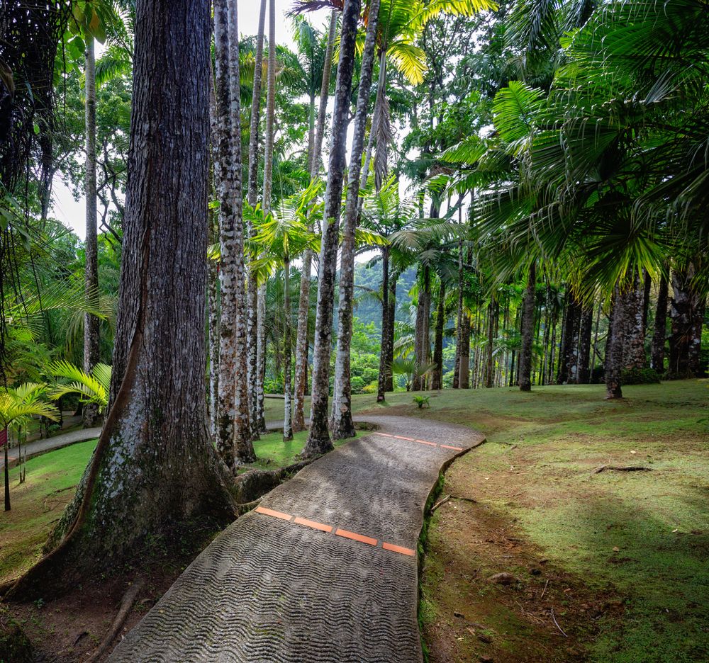 View of Jardin de Balata
