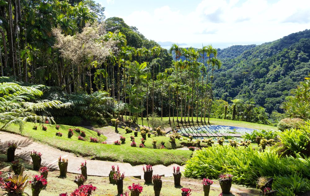 View of Jardin de Balata
