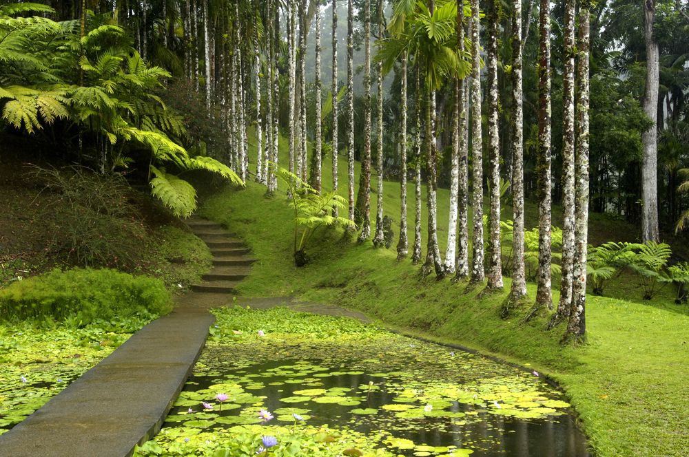 View of Jardin de Balata