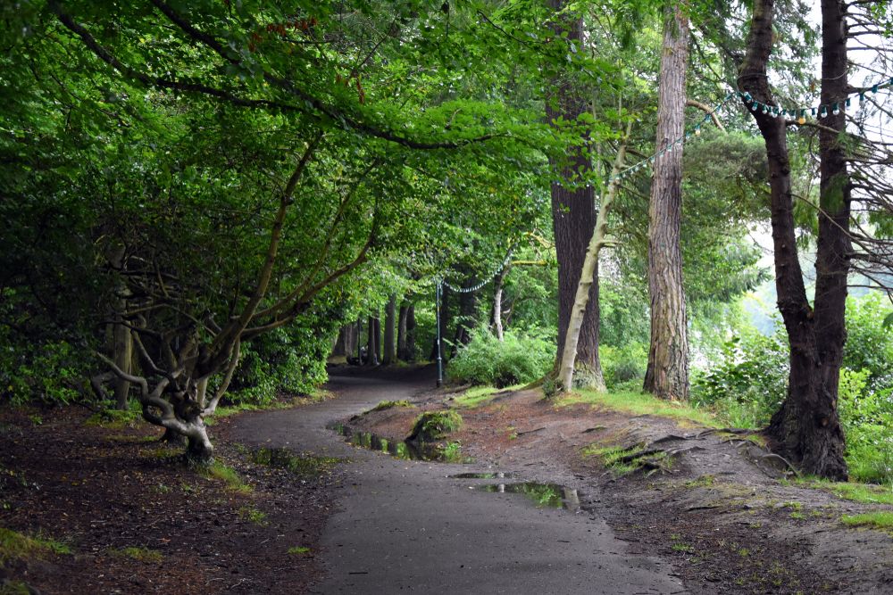 Ness Islands Walk in Inverness