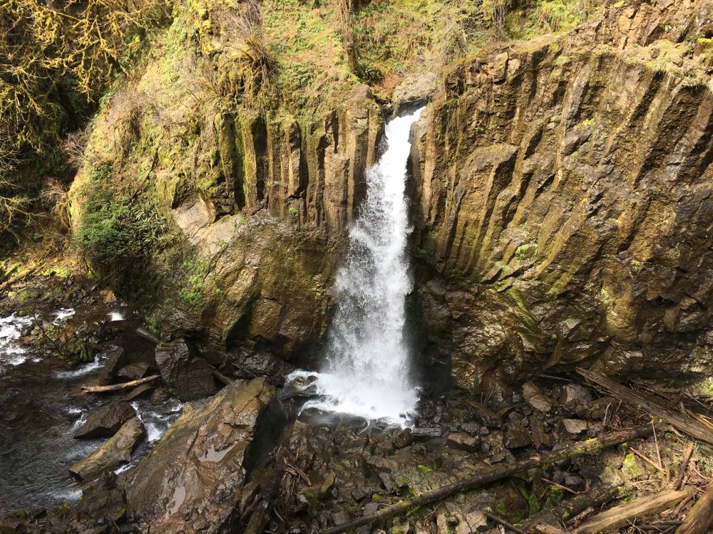 Beautiful waterfalls at Siuslaw National Forest