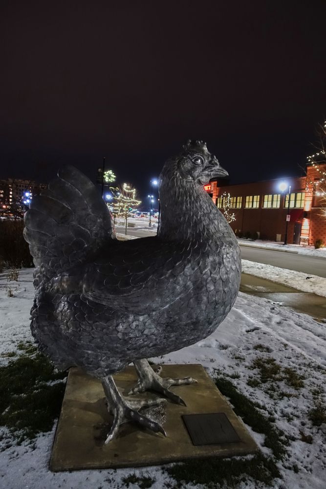 A rooster statue at Iowa River Landing Sculpture Walk.