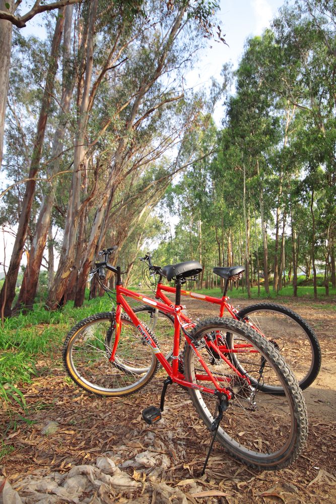 Bikes parked along Perkiomen Trail