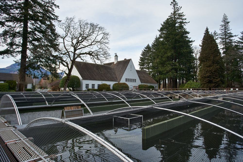 Fish pens at Bonneville Hatchery