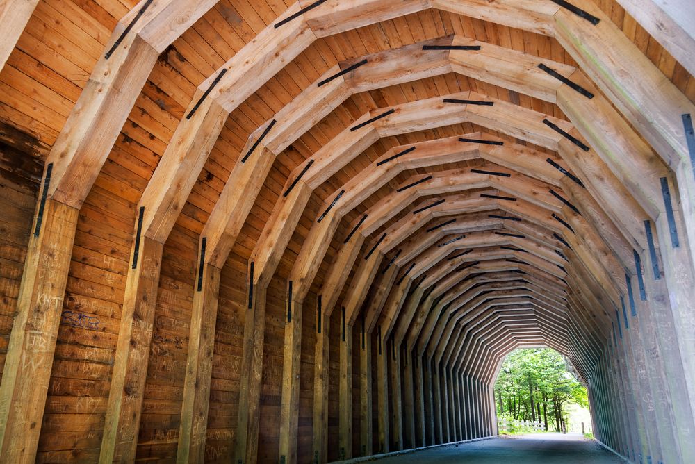 A tunnel along Columbia River Highway