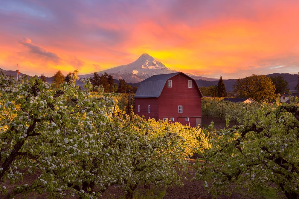 A red barn at Fruit Loop