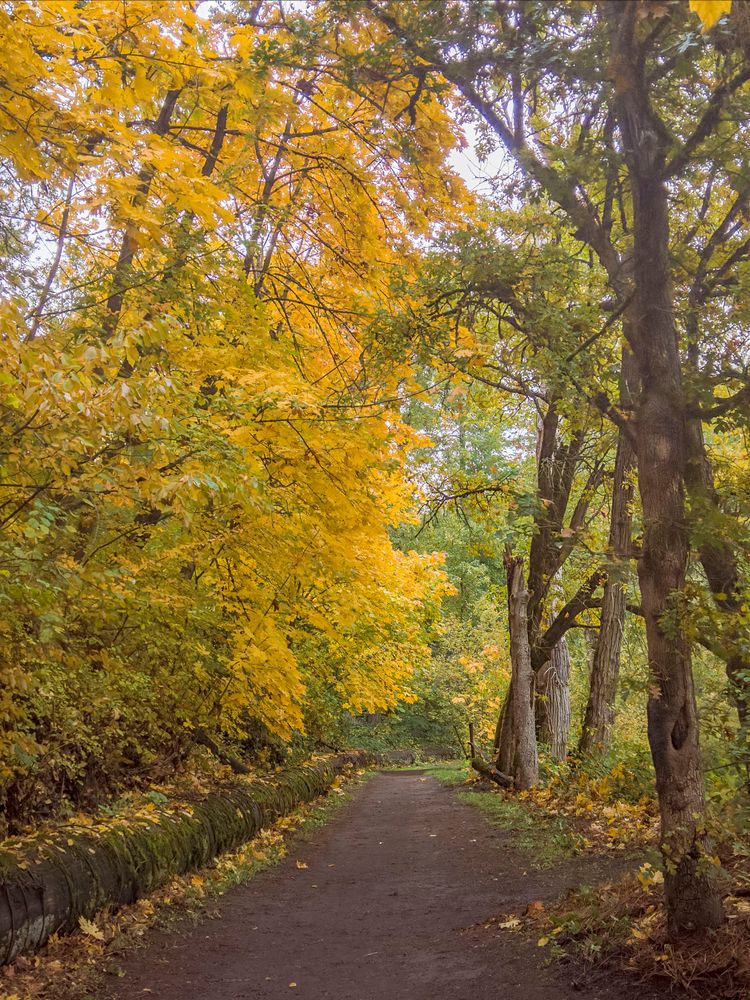 Fall scene at Indian Creek Trail