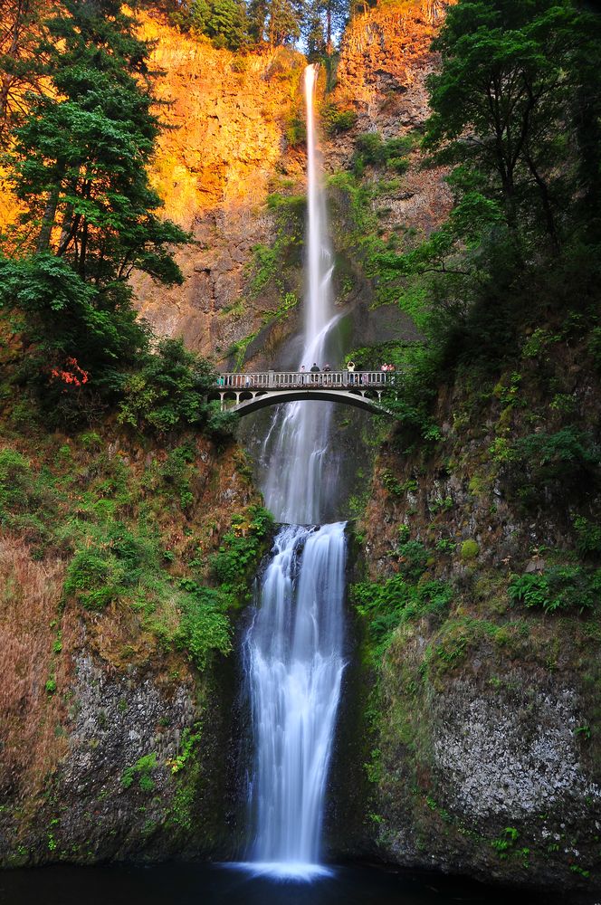 People admiring the Multnomah Falls from a bridge