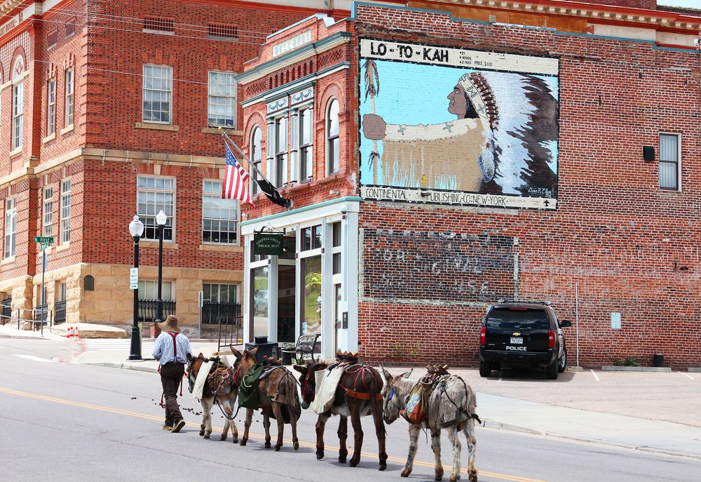 View of Cripple Creek Donkey Herd