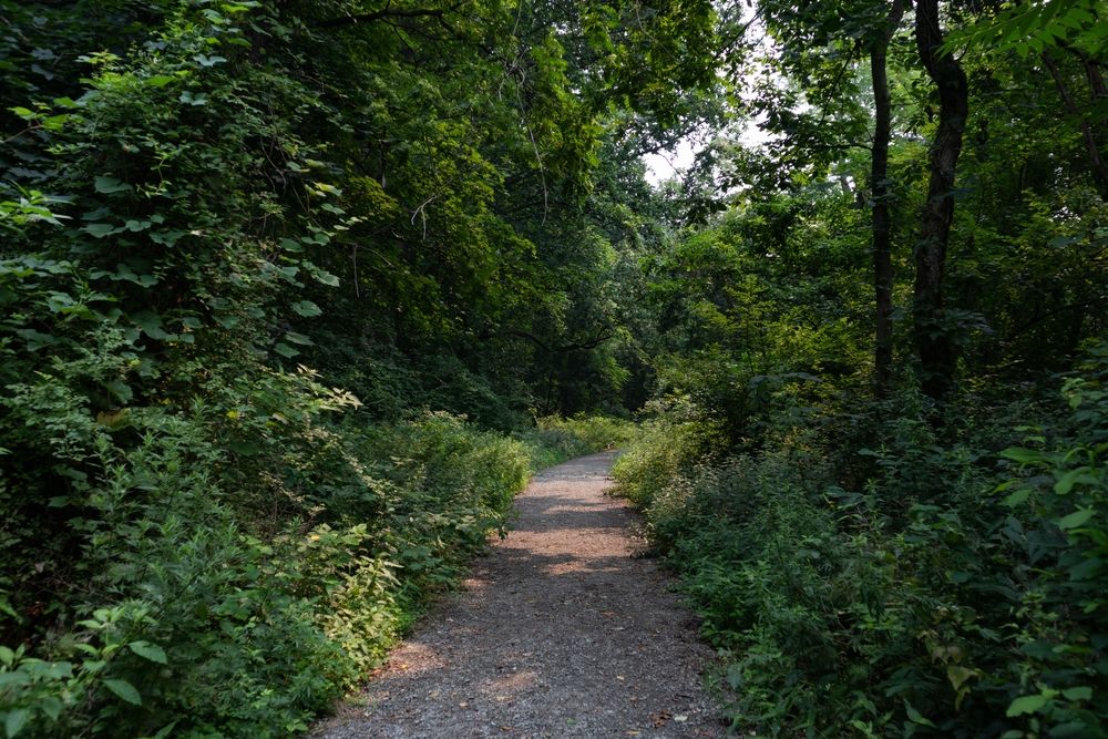A hiking trail at Hudson Highlands State Park