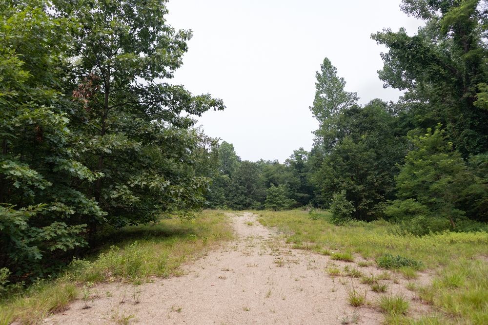 Nature trail at Little Stony Point