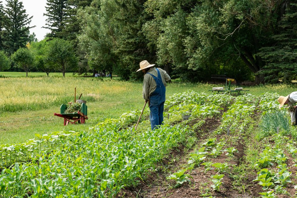 Farmers at the Rock Ledge Ranch Historic Site