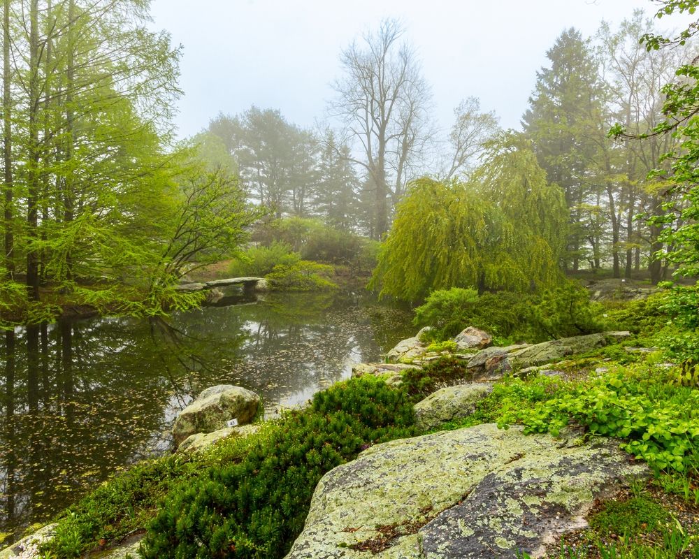 Scenic view of Stonecrop Gardens