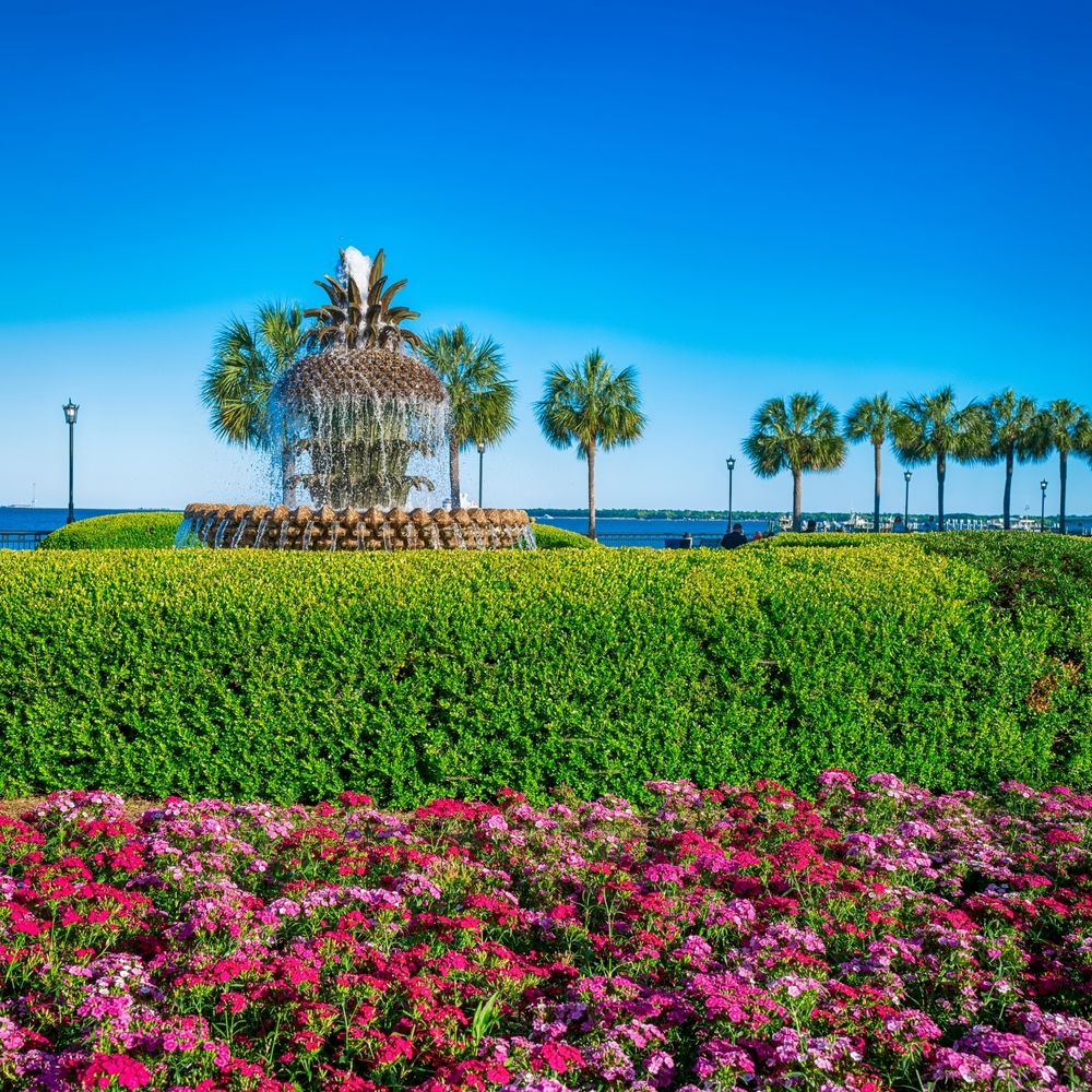 Scenic view of the Joe Riley Waterfront Park's pineapple fountain