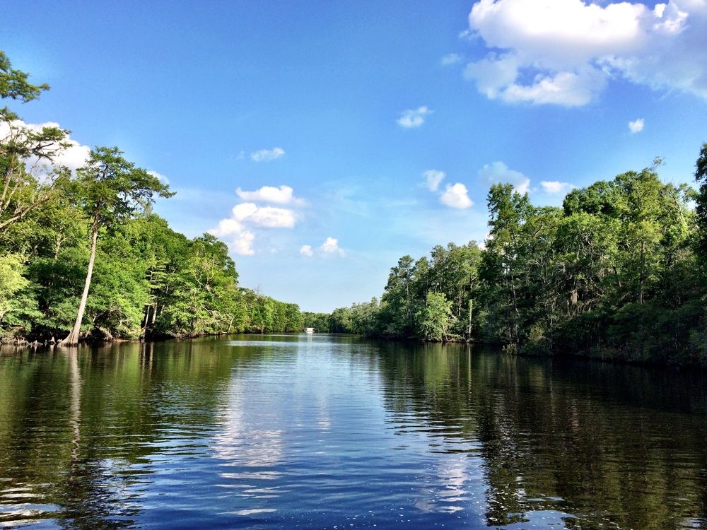 The waters of Waccamaw River