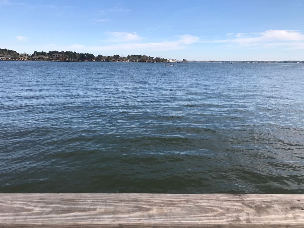 The waters of Lake Conroe