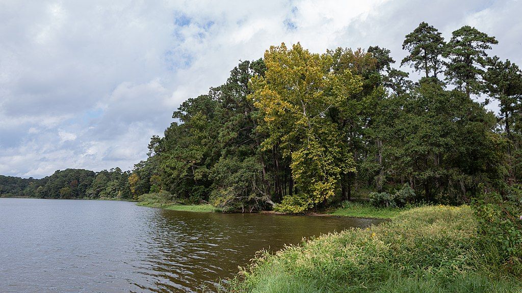 The waters of Sam Houston National Forest