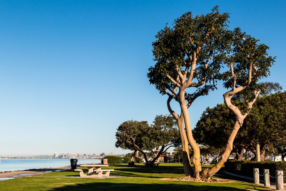 The grounds of Chula Vista Bayfront Park