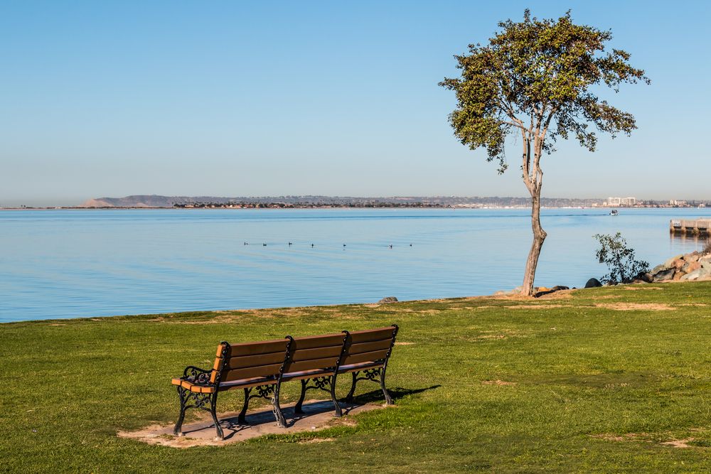 Bench overlooking the water at Chula Vista Bayside Park