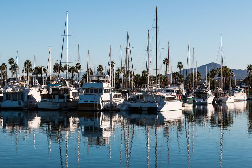 Docked boats at Chula Vista Marina