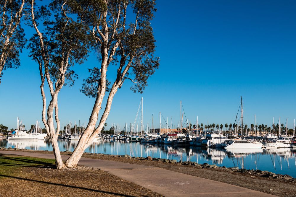 View of Chula Vista Marina from a park