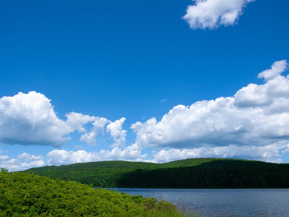 Scenic view of Colchester Pond