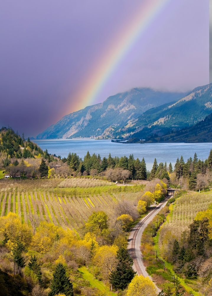 Scenic view of Columbia River Gorge National Scenic Area