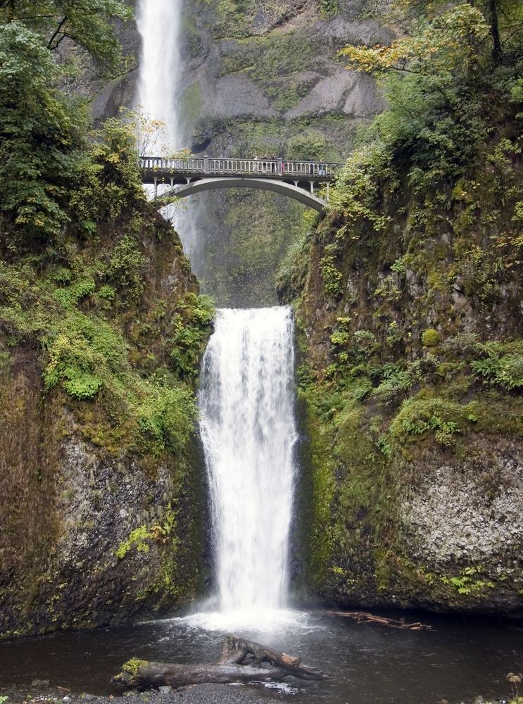 Gorgeous waterfall at Columbia River Gorge National Scenic Area