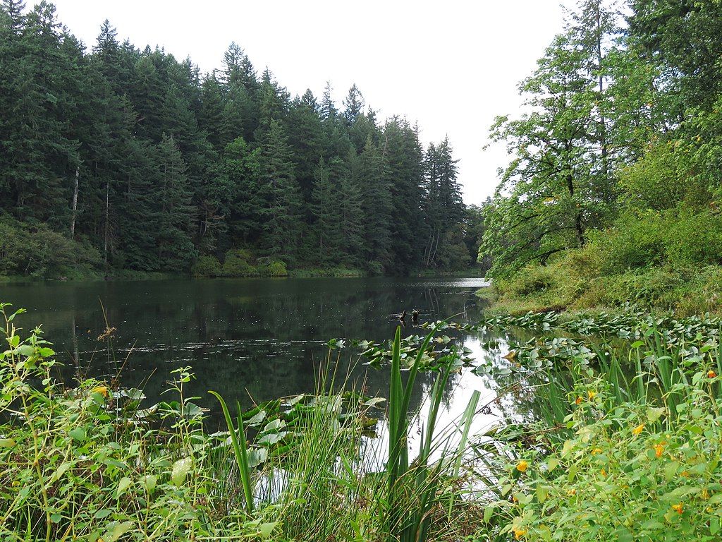 The waters of Fallen Leaf Lake Park