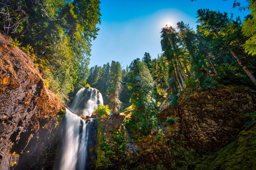 Lush greenery surrounding Falls Creek Falls