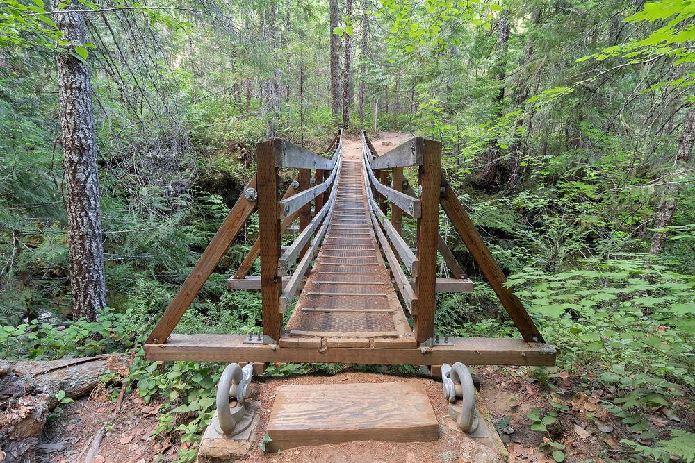 Suspension bridge at Falls Creek Falls
