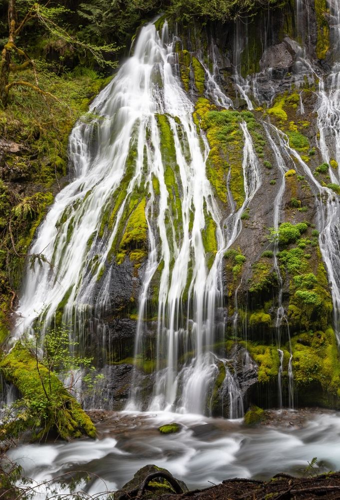 Panther creek falls at Gifford Pinchot National Forest