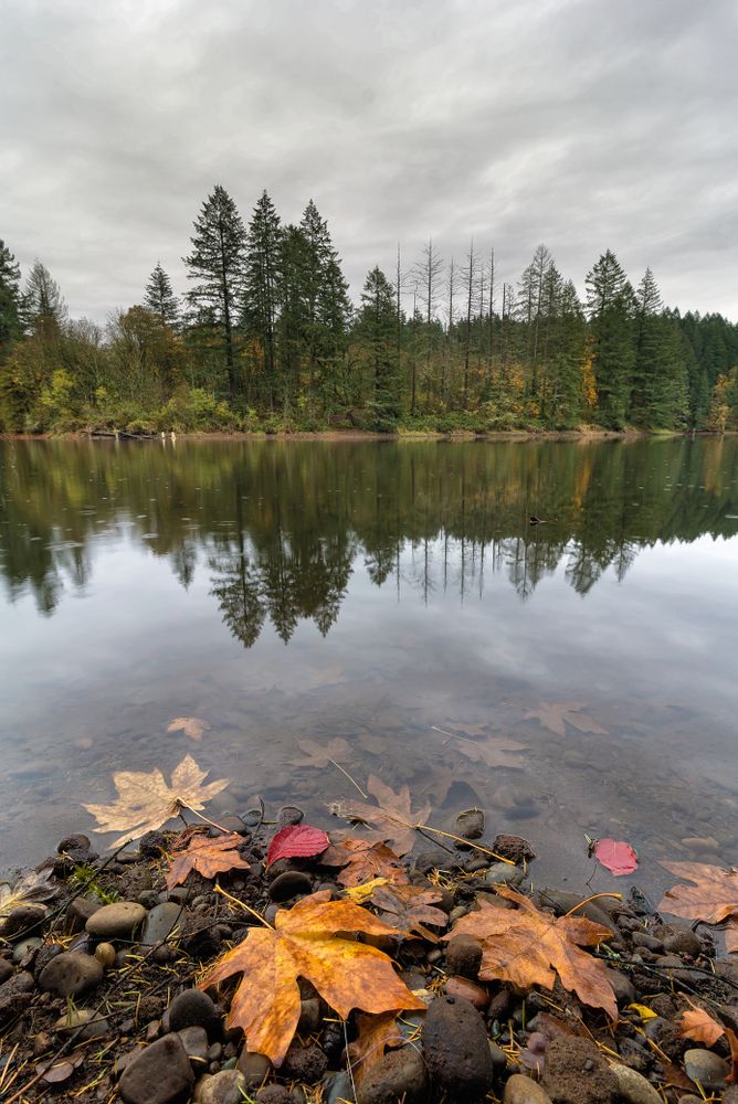 The waters of Lacamas Lake Park
