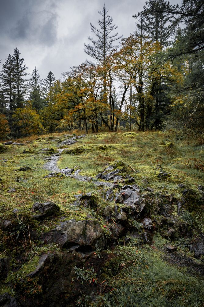 Rocky trail at Lacamas Lake Park